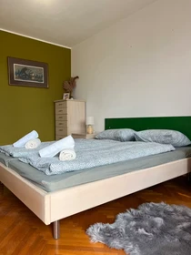 Private room at Ulica borcev za severno mejo, Galjevica, image 1 of 10