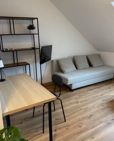 Renting rooms by the month in Freiburg-im-breisgau