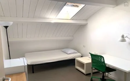 Chambre privée à Tor Vergata - Via di Carcaricola, image 30 de 33