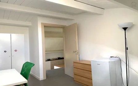 Chambre privée à Tor Vergata - Via di Carcaricola, image 32 de 33
