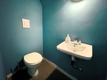 Chambre privée à Tor Vergata - Via di Carcaricola, image 11 de 37