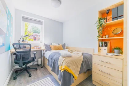 Özel oda konumu Elvetham Road, Birmingham, B15 2NL, 21 49 görüntüsü
