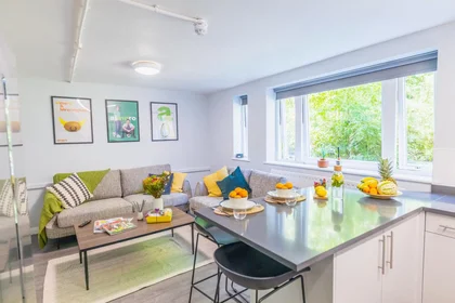 Özel oda konumu Elvetham Road, Birmingham, B15 2NL, 30 49 görüntüsü