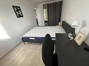 Private room at Noisy-le-grand, 93160, image 13 of 16