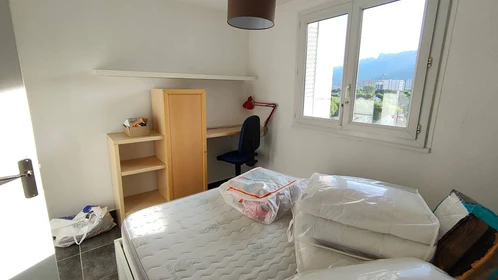 Chambre à louer dans un appartement en colocation à Grenoble