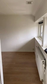 Room for rent in a shared flat in Amsterdam