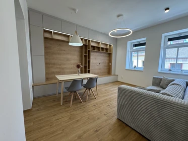 Modern and bright flat in Brno