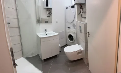 Chambre privée à Strasbourg, 67000, image 14 de 16