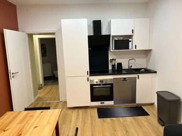 Chambre privée à Strasbourg, 67000, image 3 de 16