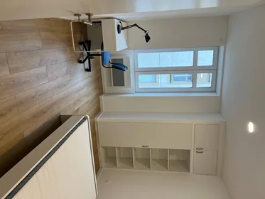 Chambre privée à Strasbourg, 67000, image 10 de 16