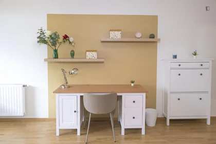 Private room at Boulevard Albert 1er, image 13 of 49