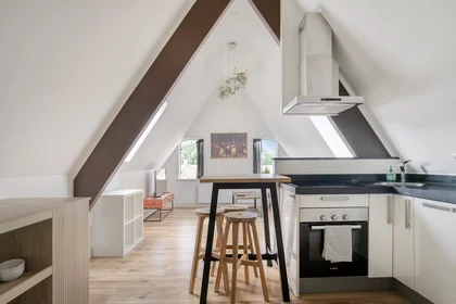 Entire apartment at Zwaansteeg, Centrum, image 3 of 10