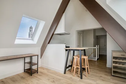 Entire apartment at Zwaansteeg, Centrum, image 6 of 10