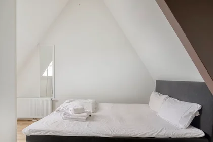 Entire apartment at Zwaansteeg, Centrum, image 7 of 10