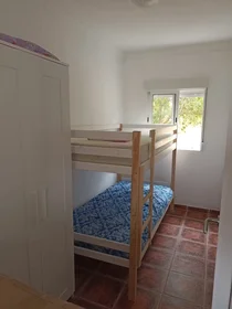 整套公寓 在 Camino del Arroyo del Comendador, , 10的图像2