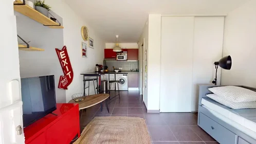 Alojamiento entero en Rue de la Theriaque, Hôpitaux-Facultés, imagen 1 de 9
