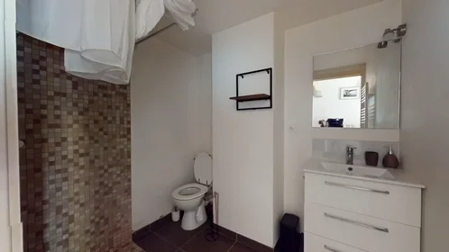 Alojamiento entero en Rue de la Theriaque, Hôpitaux-Facultés, imagen 8 de 9