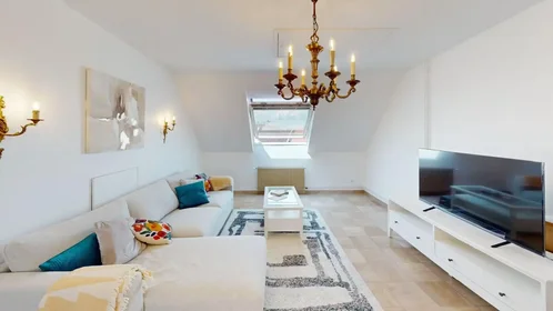 Entire apartment at Rue de Richwiller, , image 1 of 10