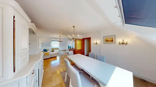 Logement entier à Rue de Richwiller, , image 2 de 10