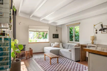Entire apartment at Zonnehoek, , image 7 of 10