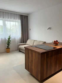 Entire apartment at Kobierzyńska, Dębniki, image 6 of 10