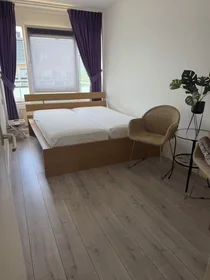 Alojamiento entero en Ekingenstraat, Amsterdam Nieuw-West, imagen 7 de 10