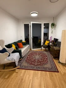 Private room at Clementinengasse, Rudolfsheim-Fünfhaus, image 5 of 10