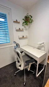 Private room at Clementinengasse, Rudolfsheim-Fünfhaus, image 7 of 10