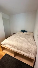 Private room at Clementinengasse, Rudolfsheim-Fünfhaus, image 9 of 10