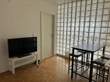 Stanza privata in Haidhofweg, Konradsiedlung-Wutzlhofen, immagine 3 di 10