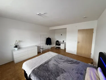 Stanza privata in Haidhofweg, Konradsiedlung-Wutzlhofen, immagine 4 di 10