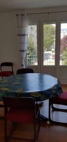 Cheap private room in Saint-martin-d-heres