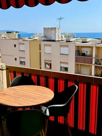 Entire fully furnished flat in Nice