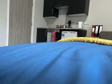 Privatzimmer in der Fenham Hall Drive, Newcastle, NE4 9YH, bild 23 von 47