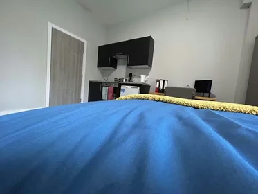 Privatzimmer in der Fenham Hall Drive, Newcastle, NE4 9YH, bild 25 von 47