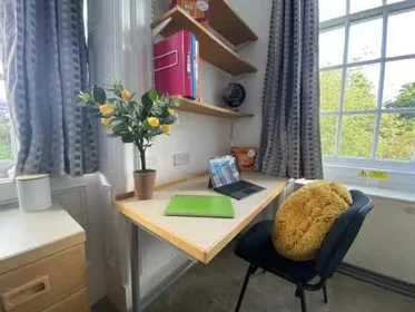 Privatzimmer in der Fenham Hall Drive, Newcastle, NE4 9YH, bild 28 von 47