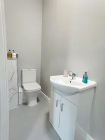 Privatzimmer in der Fenham Hall Drive, Newcastle, NE4 9YH, bild 41 von 47