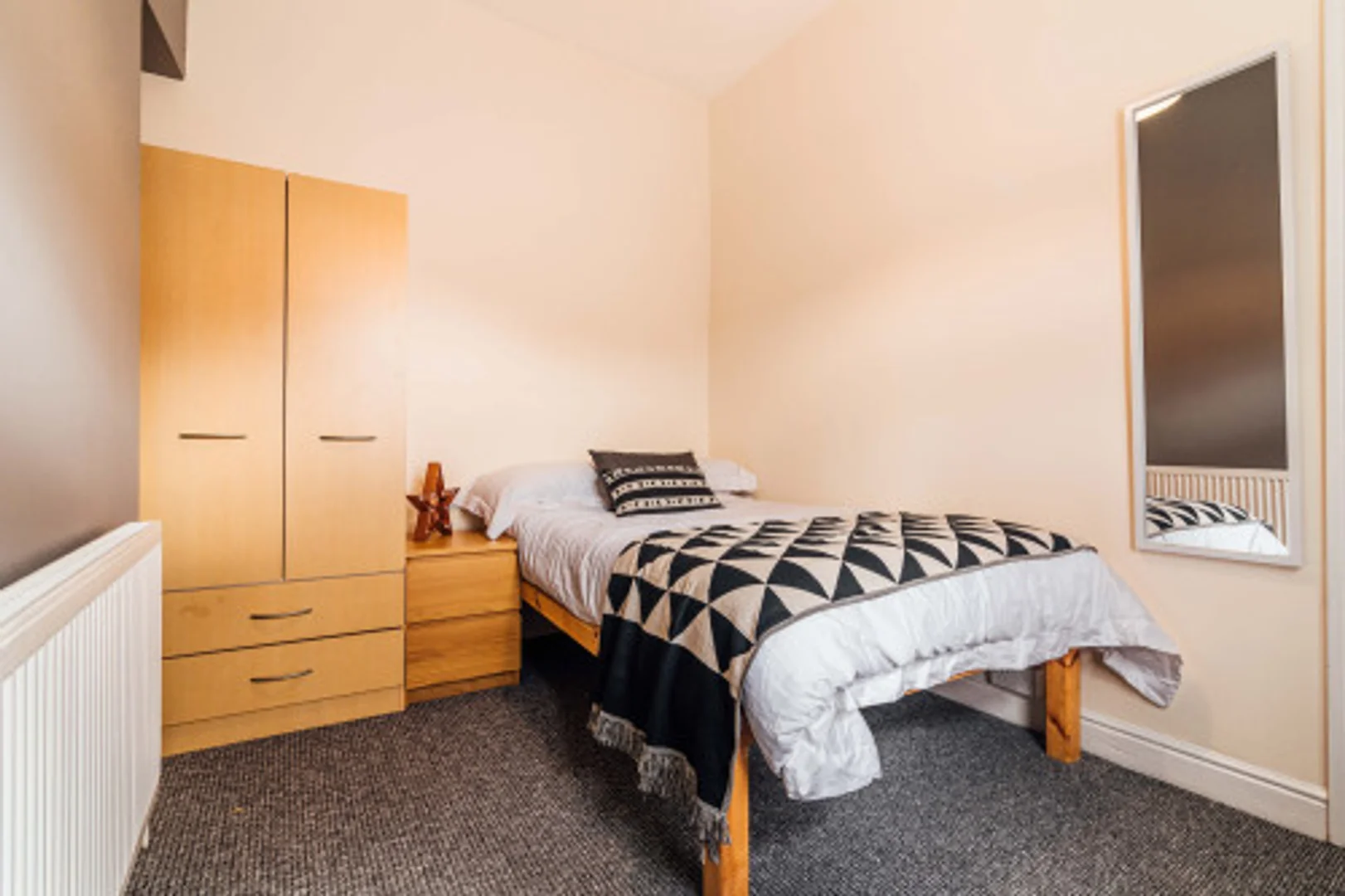 Budget-friendly student room close to campus in 