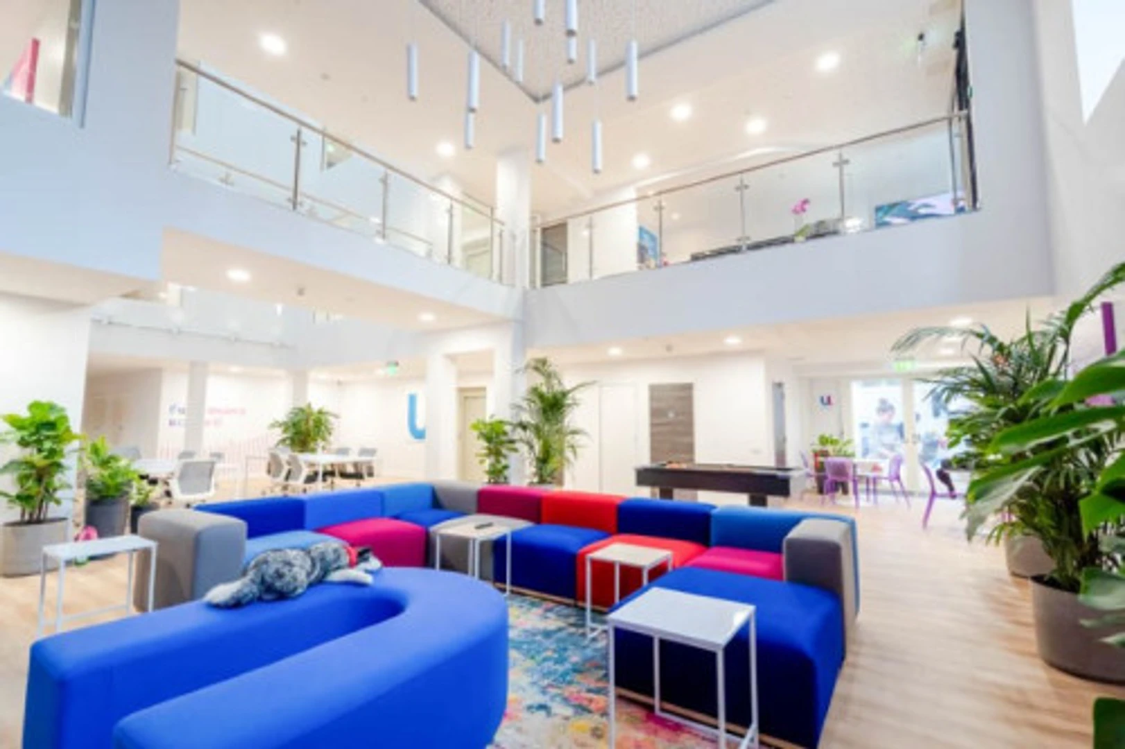 Student-friendly room in  with modern amenities