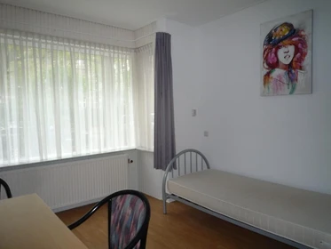 Chambre à louer avec lit double Nijmegen