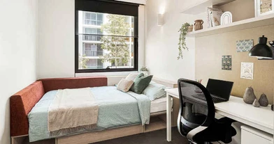 Quarto para alugar num apartamento partilhado em Sydney