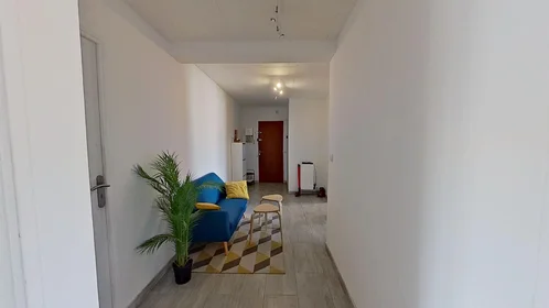 Quarto privado em 55 Rue Berthelot, imagem 25 de 30