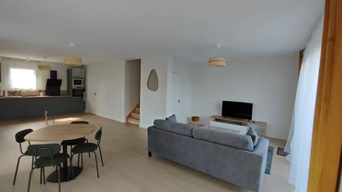 Stanza privata in Angers, 49100, immagine 1 di 10