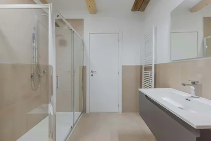 Chambre privée à Fondobanchetto, 33, 44121, Ferrara, IT, image 8 de 31