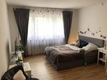 Stanza privata con letto matrimoniale Stuttgart