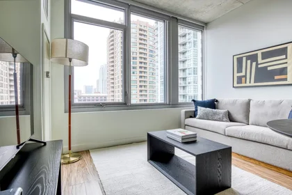 Entire apartment at North Desplaines Street, West Loop, image 1 of 10