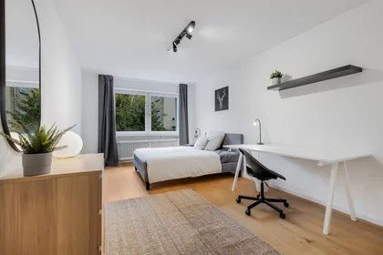 Room for rent in a shared flat in {area}