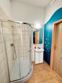 Privatzimmer in der Św. Marcin , bild 10 von 17