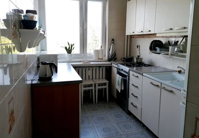 Room for rent in a shared flat in Poznan