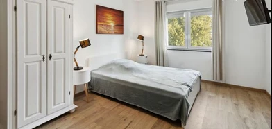 Room for rent with double bed Darmstadt